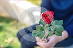 Woman giving a red rose flower to her boyfriend on Valentine`s day with green nature background