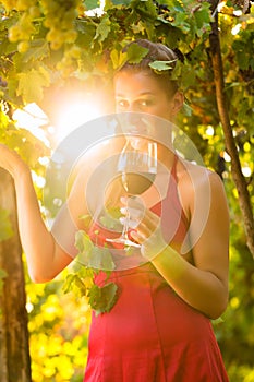 Woman with glass of wine in vineyard