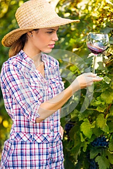 Woman with glass of wine in the vineyard