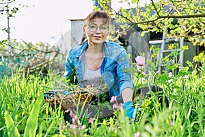 Woman in gloves with shovel weeding spring flower bed from weeds