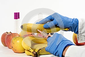 Woman with gloves uses a syringe. Genetic modification of fruits and vegetables