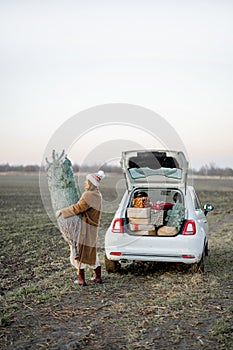 Woman going with Christmas tree near car on nature