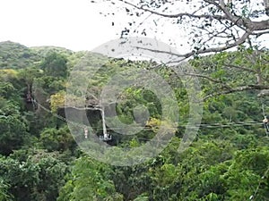 Woman going on a jungle zipline adventure