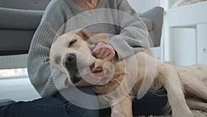 Woman with golden retriever at home