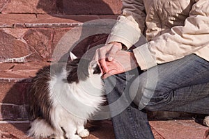 The woman grabbed her knee in pain, she sits on the steps. The cat is nearby