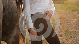 woman and a gray horse in a field at sunset. Freedom in nature. Rider outdoor. Portrait in slow motion. Slide way