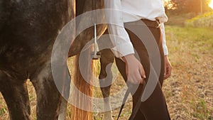 woman and a gray horse in a field at sunset. Freedom in nature. Rider outdoor. Portrait in slow motion. Slide way