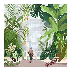 Woman in greenhouse, conservatory, botanical garden, park. Person walking in hothouse, green glass house indoor with