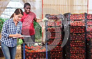 Woman greenhouse owner working with papers in vegetable warehouse