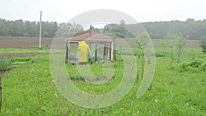 Woman greenhouse rain