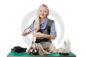 Woman groomer combing cute shih-tzu dog