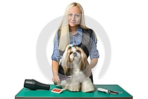 Woman groomer combing cute shih-tzu dog