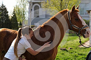 Woman grooming chestnut horse