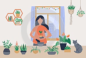 Woman grow homemade plants. Female character caring for potted herb and flowers. Girl putting seedling into pot