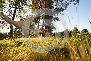 Woman on hammock in the forest