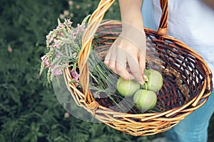 Woman hand apple on basket