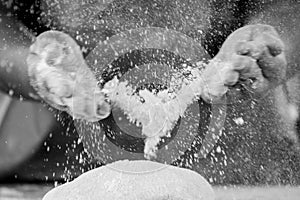 Woman hand clapping and sprinkling white flour on dough