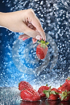 Woman hand close up holding red strawberry under drops of water. Girl showing red strawberry on a water background. Healthy lifest