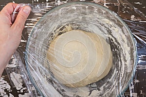 Woman hand cover dough in glass bowl using cling film before proofing