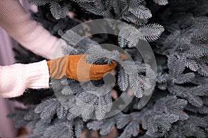 Woman hand decorates and sets up artificial New Year tree, spruce in cozy living room at home in the evening.