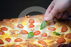 Woman hand decorating vegetarian lasagna with herbs in the baking tray which was just taken out of the oven