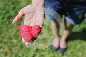 Woman hand giving red hand-made crocheted heart with green grass background and copy space. Valentine`s Day. Symbol of love.