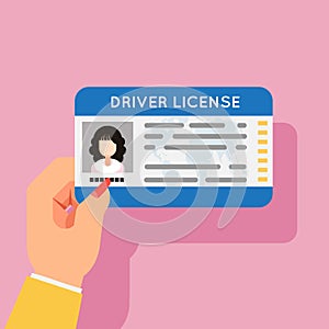 Woman hand hold car driver license female identification photo flat design vector illustration