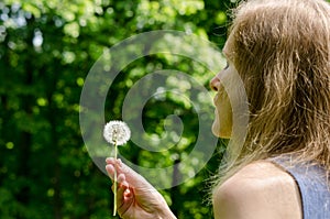 Woman hand hold deflorated dandelion flower seeds