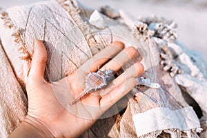 Woman hand holdin beautiful sea shell outdoors