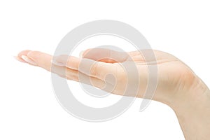 Woman hand holding anything isolated with clipping