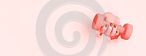 Woman hand holding blue dumbbell on trendy coral color background. Fitness, sport, healthy lifestyle, diet concept. Banner with