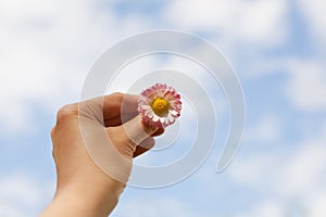 Woman hand holding a Daisy against of the blue sky with clouds, freedom, peace, hope, trust and purity