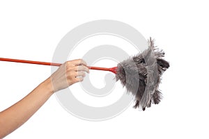 Woman hand holding a duster clean photo