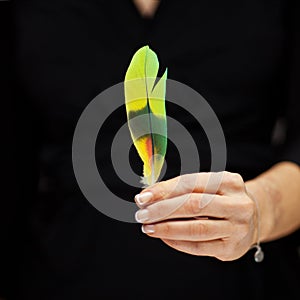 Woman hand holding exotic bird feather, sensual studio shot