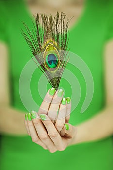 Woman hand holding exotic peacock feather, sensual studio shot
