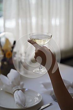 Woman hand holding glass with martini cocktail, close-up