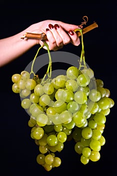 Woman hand holding grapes