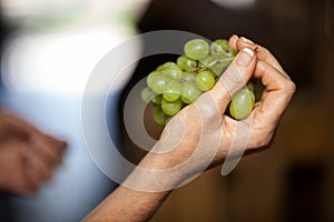 Woman hand holding grapes