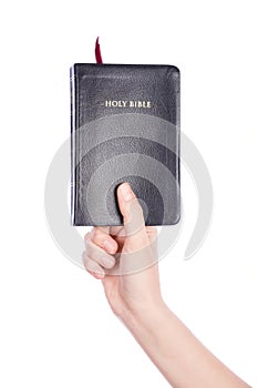 Woman hand holding the Holy Bible on white