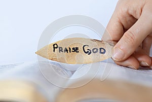 Woman hand holding leaf with a written message to praise God our Father and our Lord Jesus Christ