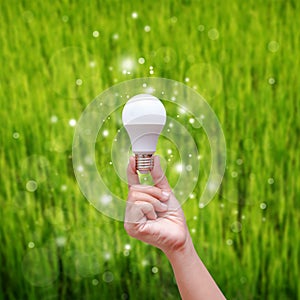 Woman hand holding LED bulb on green backgroud