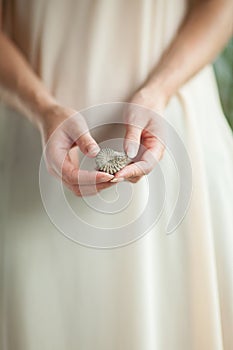 Woman hand holding little fossile ammonite, sensual studio shot with soft light