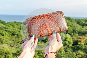 Woman hand holding luxury snakeskin python wallet on a tropical green background.