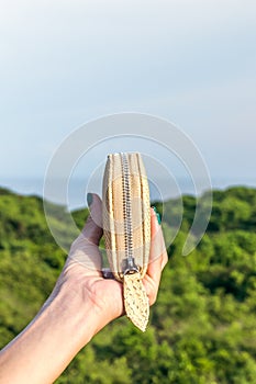 Woman hand holding luxury snakeskin python wallet on a tropical green background.