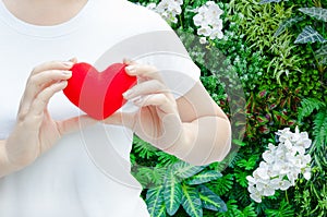 Woman hand holding plush a red heart at left her chest ,Valentine day concept