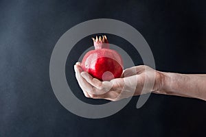 Woman Hand Holding Ripe Vibrant Red Pomegranate on Black Background Conceptual Fall Autumn Thanksgiving Harvest