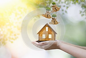 Woman hand holding soil,wooden house model with tree hemp bag on dollar falling from sky to down,blurred nature background and