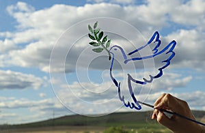 Woman hand makes a drawing on the glass. dove is a symbol of peace. pigeon with olive branch