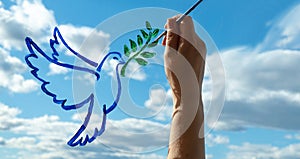 Woman hand makes a drawing on the glass. dove is a symbol of peace. pigeon with olive branch. draw paint on the window