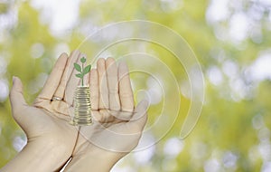 woman hand open up coins and green tree on palm, growth of financial wealth business